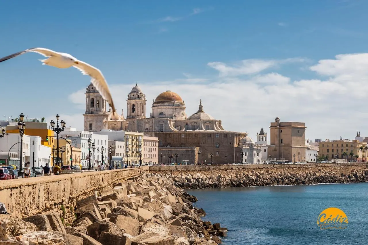 Appartamento La Luz De La Vina - Free Parking By Cadiz Time 0*,  Spagna